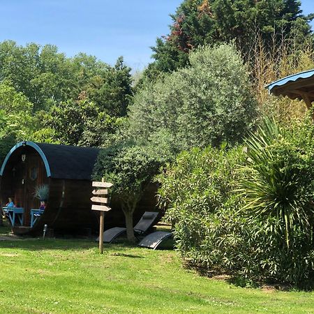 Bed and Breakfast La Bastide De Negra Montesquieu-Lauragais Zewnętrze zdjęcie
