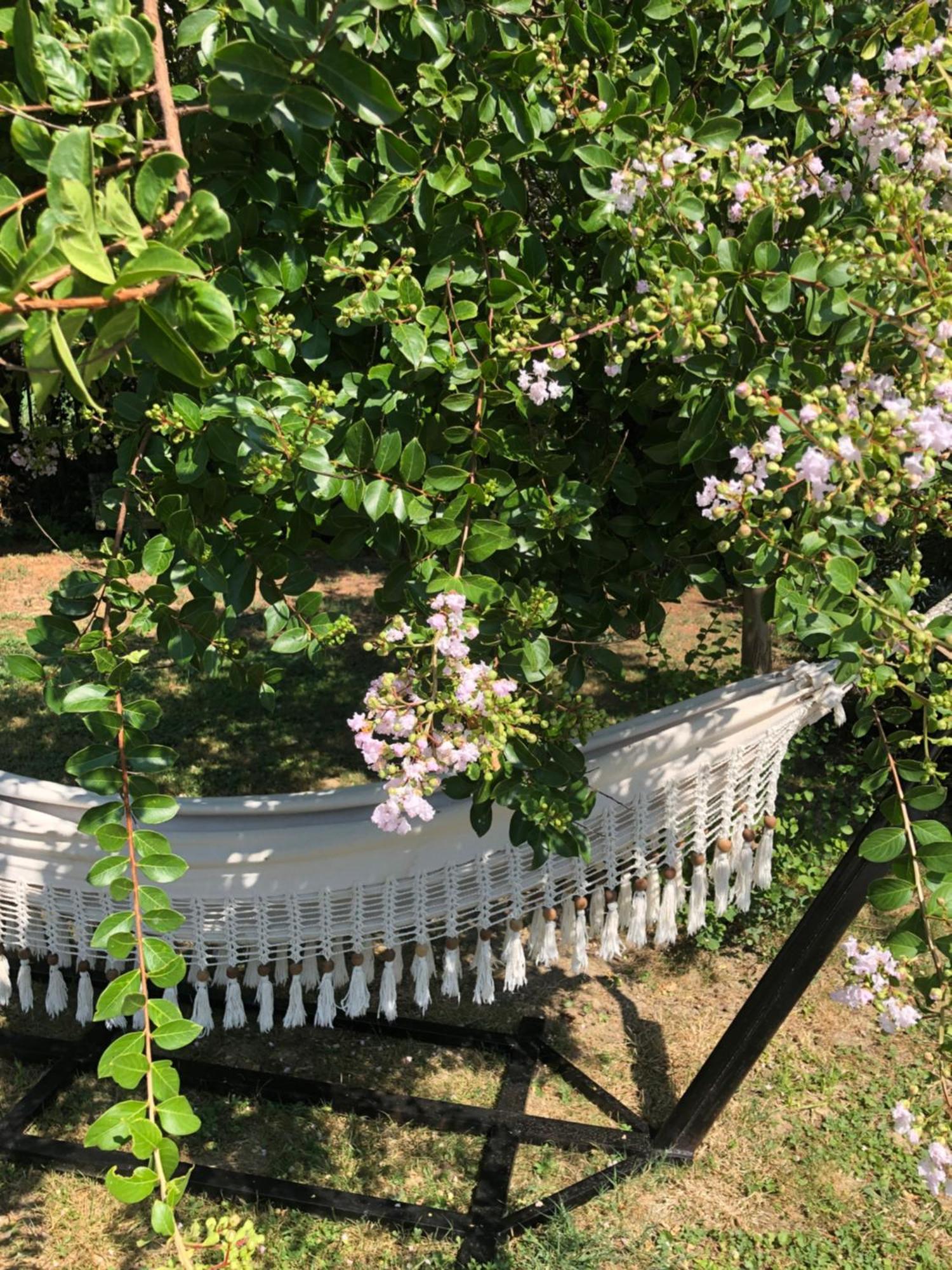 Bed and Breakfast La Bastide De Negra Montesquieu-Lauragais Zewnętrze zdjęcie
