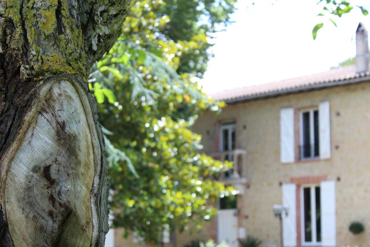 Bed and Breakfast La Bastide De Negra Montesquieu-Lauragais Zewnętrze zdjęcie